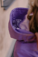 Women's Softshell Coat Lilac